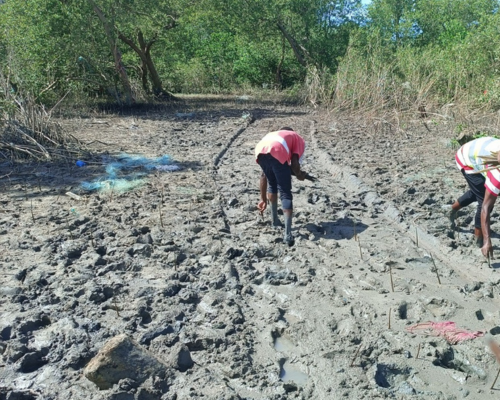 Empoderamento Costeiro